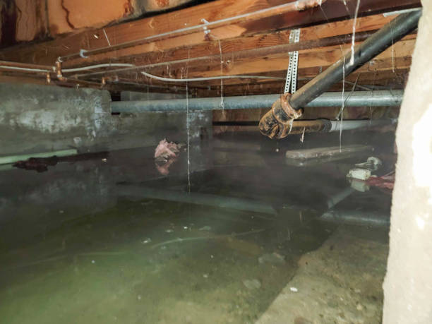 Best 24/7 water damage repair  in Crowley, TX