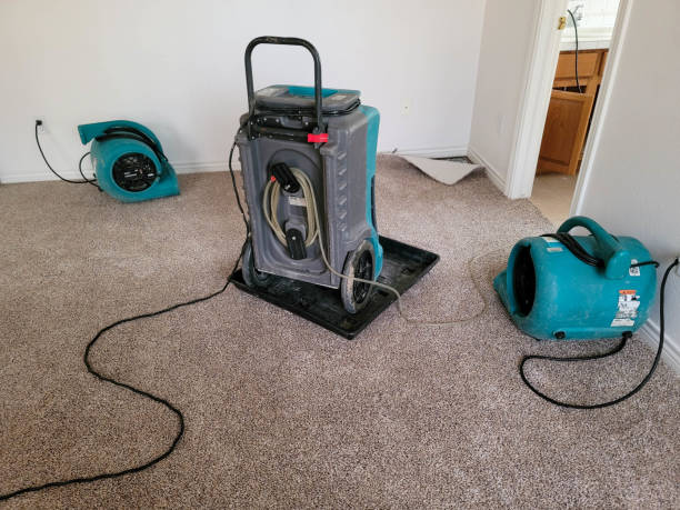 Best Fire Damage Restoration  in Crowley, TX