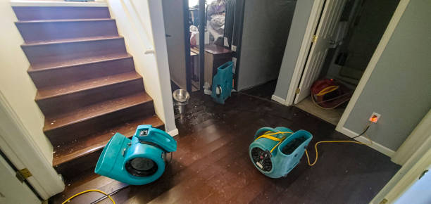 Best Flood restoration services  in Crowley, TX