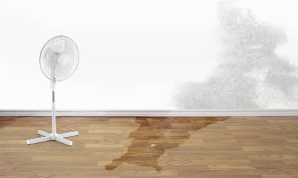 Best Residential water damage restoration  in Crowley, TX