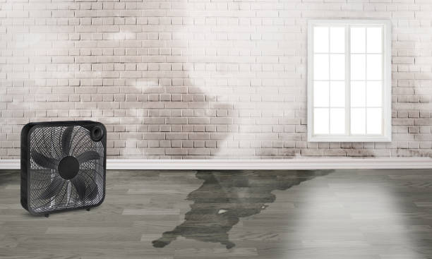 Best Water damage restoration near me  in Crowley, TX