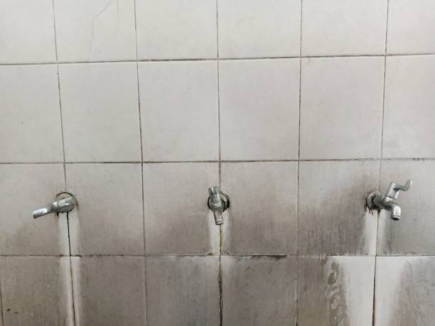 Best Water damage restoration near me  in Crowley, TX