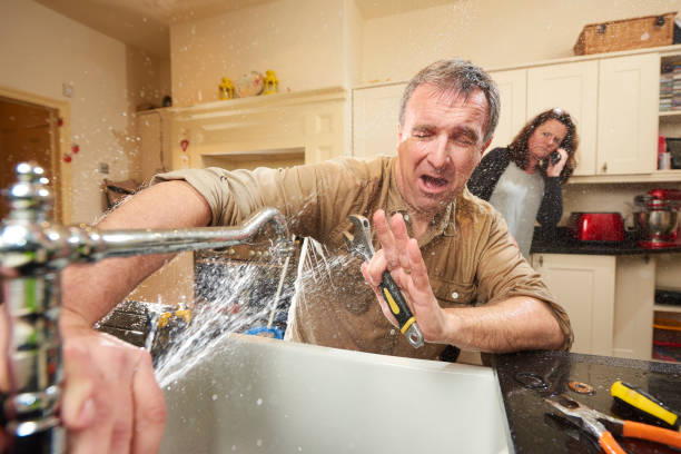Best Mold removal after water damage  in Crowley, TX